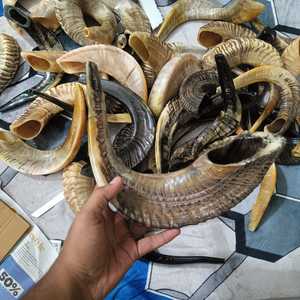 Shofar en corne de bélier de qualité supérieure, fait main, corne naturelle, instrument de cérémonie juive pour Rosh Hashanah, Yom Kippur, culte religieux, prière - Product Image 5
