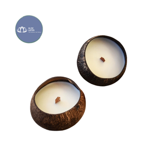 [BEST SELLING] | Eco Friendly Coconut Shell Bowl Smooth Finish Bulk Wholesale Handcrafted Eco Friendly Tableware Vietnam - Product Image 1