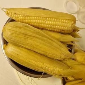 Boiled Sticky Rice Corn Vacuum Packed Ready to Eat Fresh Corn Cob Wholesale - Product Image 4