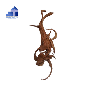 Rama de Madera Natural Moderna para Reptiles, Decoración para Acuarios y Peceras, Ideal para Comederos de Peces como Molly y Mariscos, Ecológica y Duradera - Product Image 2