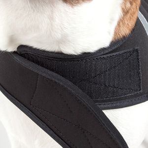Extreme Neoprene Multi-Purpose Dog Coat Protective Shell <b>Leg</b> Guards and <b>Warmers</b> - Product Image 4