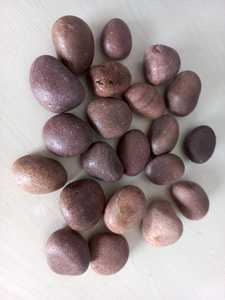 El proveedor indio ofrece piedras de guijarro de Río caídas lisas naturales adoquines de colores mezclados para decoración de paisajismo de jardín al aire libre - Product Image 3