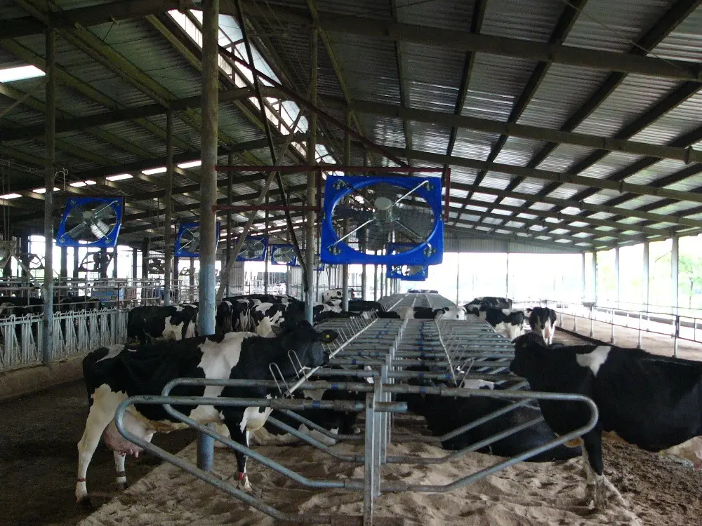 EC motor Poultry Farming Equipment Cooling Fans Axial Flow Fans