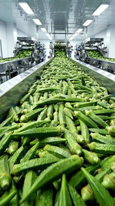 FACTORY DIRECT Canned Whole Okra 28 Oz <b>Large</b> Tin Can for Foodservice and Wholesale - Product Image 2