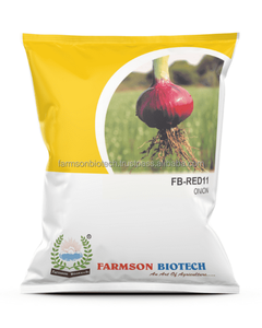 FB-RED 11 |   Graines d'oignons commerciales en vrac | |   Exportateur de semences du Gujarat, Inde - Product Image 6