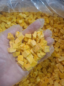 Bloques de Mango Liofilizado Premium, Snack de Fruta Natural Dulce, OEM ODM, Venta al por Mayor, Empaque a Granel, Vietnam - Product Image 1