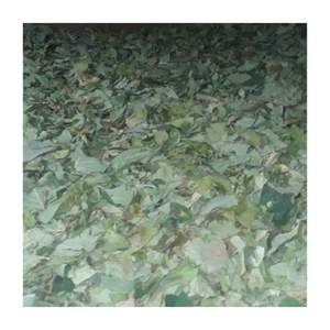 Feuilles de taro séchées à prix abordable en sachet refermable - Feuilles individuelles en gros fabriquées à partir de plantes de taro, emballage personnalisé, offre spéciale 2026 - Product Image 1