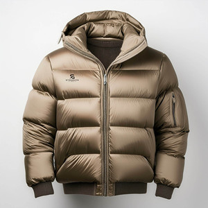 Blouson matelassé brillant pour homme, manteau d'hiver chaud et léger à capuche, style décontracté et tendance pour l'extérieur 2026 - Product Image 4