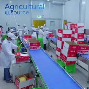 Aceite de coco virgen de Vietnam superior alta calidad fresco mejor precio al por mayor con oportunidades de personalización OEM/ODM - Product Image 6