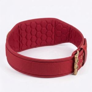 Cinturón de Levantamiento de Pesas de Neopreno al por Mayor, Unisex, de EVA y Nylon, Transpirable, Personalizado para Powerlifting - Product Image 2