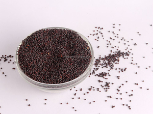 Graines de moutarde Brassica Juncea Graine de moutarde brune Rai Raya Beej entière Épices Rayi Beej Épices indiennes traditionnelles - Product Image 3