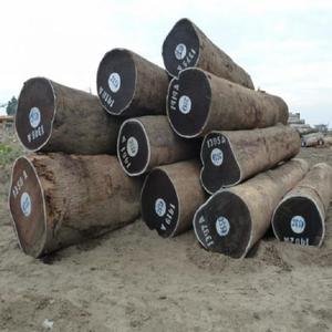 Natural Eucalyptus Wood <b>Logs</b> Oak <b>Eco</b>-friendly Wholesale for Decorative Craft Applications Household Appliances Round - Product Image 1