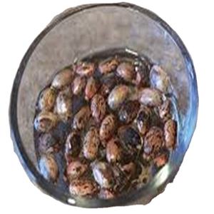 Graines de ricin indiennes pour l'exportation qualité de haute pureté garantie les commandes en gros acceptées expédition rapide et fiable - Product Image 3