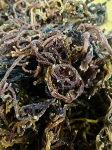 High Quality Wild-Crafted Irish Sea <b>Moss</b> Gold Purple Sea <b>Moss</b> From Vietnam Organic <b>Dried</b> Sea <b>Moss</b> in Bulk/ Ms. Lima - Product Image 5