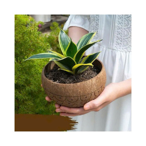 Maceta de Coco Hecha a Mano, Ideal para Cultivar Plantas y Agregar un Toque Rústico a tu Espacio, Maceta Tropical de Coco para Cultivos Orgánicos - Product Image 3
