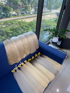 Extensions de cheveux en vrac Super Double Drawn Cheveux vierges Couleur blonde 100% cheveux vietnamiens Expédition mondiale Prix d'usine - Product Image 5