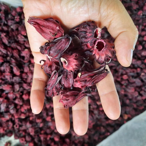 Flor de Hibisco Seca Natural, Suministro de Fábrica de Vietnam, Té de Roselle a Granel - Product Image 1