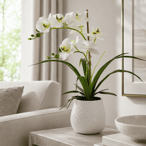 Fiori Decorativi di Orchidea Phalaenopsis per Interni di Ville e Appartamenti - Product Image 5