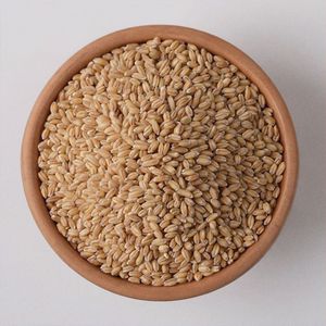 Blé de haute qualité, blé tendre et dur à prix de gros, fournisseur en gros, blé entier biologique à vendre en Autriche - Product Image 6