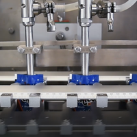 Machine d'emballage horizontale Acepack automatique à bec verseur supérieur pour le remplissage de sachets de café, de jus, de boissons et de liquides