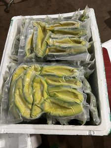 สินค้าขายดี อะโวคาโดแช่แข็งแบบยั่งยืน คุณภาพสูง ชิ้นอะโวคาโดเนื้อแน่น ผลิตจากโรงงาน ส่งออกโดยตรง - Product Image 6