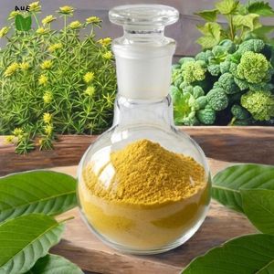 Extracto de Hoja de Mit 80% Herbal Tailandés AuE de Alta Calidad Favorito de los Clientes, en Polvo, Extraído por Solvente, Grado Farmacéutico - Product Image 6