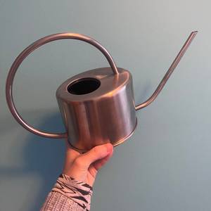 Arrosoir en acier inoxydable, outil de jardinage durable, utilisation intérieure et extérieure, design moderne, long bec verseur, poignée - Product Image 1