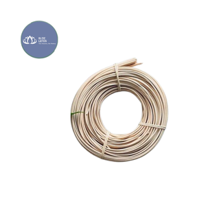 [MEILLEURES VENTES] |   Diffuseur de parfum artisanal avec bâtonnets en rotin, bouteille d'huile essentielle, décoration d'intérieur, vente en gros Vietnam - Product Image 1