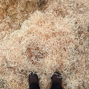 เศษไม้ชั้นดีที่มีอัตราการดูดซับสูงและระดับฝุ่นต่ำทำให้เครื่องนอนสบายและวัสดุที่เป็นมิตรกับสิ่งแวดล้อม - Product Image 1