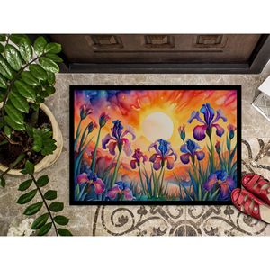 Felpudo de pila baja lavable antideslizante de Iris en Color 24H X 36W Felpudo de puerta delantera para interiores y exteriores para entrada 24H X 36W - Product Image 3