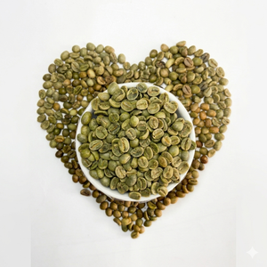 Granos de Café Verde Orgánico Arábica S16, Grado A, Puro, Natural, Sin Alérgenos, a Granel para Tostar, Calidad Estable, Exportación al por Mayor - Product Image 5