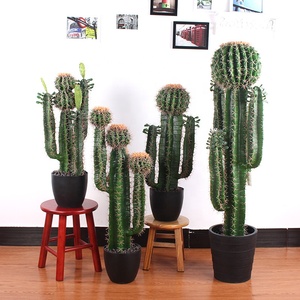 <span class=keywords><strong>Cactus</strong></span> suculento artificial <span class=keywords><strong>para</strong></span> decoración del hogar, plantas <span class=keywords><strong>de</strong></span> árbol <span class=keywords><strong>de</strong></span> imitación, <span class=keywords><strong>cactus</strong></span> decorativo artificial <span class=keywords><strong>para</strong></span> interiores <span class=keywords><strong>de</strong></span> plástico en maceta - Product Image 1