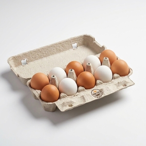 Œufs de poulet de première qualité, œufs de volaille frais pour supermarchés, épiceries et distribution en gros à l'exportation - Product Image 2