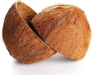 Cáscara de Coco Semi Descascarillada, Triturada y Seca, para Carbón Activado y Combustible - Product Image 2