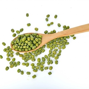 Vente en gros de haricots mungo verts de qualité supérieure 100% - Marque personnalisée - Durée de conservation de 2 ans - Stockage à l'abri de la chaleur et de l'humidité - Prix avantageux - En promotion - Product Image 4