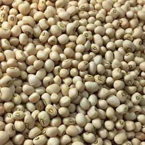 Guisantes Negros Sin OGM de Primera Calidad a Granel para Suministro Mayorista y Minorista a Gran Escala - Product Image 1