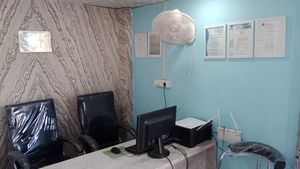 Reasonable Price Natural Translucent Flexible Stone <b>Veneer</b> Blocks for Interior Exterior Walls 100% Natural Stone CE Certified - Product Image 6