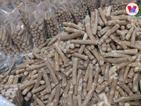 Bâtonnet à mâcher en bois de Java de haute qualité, bâtonnet en bois de café naturel pour la dentition des chiots, jouet de soin buccal durable, fabrication vietnamienne