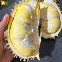 Thailand Monthong Durian Export Premium Kwaliteit 100% Thais Durian Vlees Versgevroren 500g 14 Dagen Houdbaarheid Gekochte Opslag