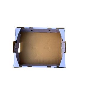 Direct Wholesale Supplier Corrugated Blueberry <b>Box</b> for Fresh Fruit Preservation and <b>Shelf</b> Life for Export Selling Price - Product Image 2