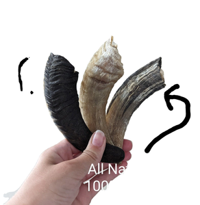 Cuernos Naturales de Carnero y Oveja de Alta Calidad de la India para Masticar para Perros, de OCEAN EXPORT a Precios Económicos - Product Image 3