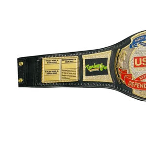 Cinturón de Campeonato US Ark Defender, Diseño de la Industria de Reptiles, Dorado y Negro, con Placas de Identificación Personalizadas y Logotipo de US Ark - Product Image 4