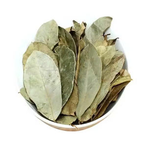 Usine prix de gros feuilles de corossol séchées 100% naturel organique séché au soleil Premium minceur tisane EXPAD marque approvisionnement en vrac - Product Image 6