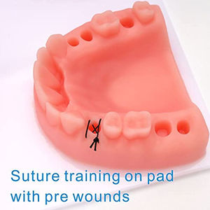 Kit de suture Dentavex Corporation DC-S-9 pour étudiants en médecine - Outils de pratique de suture durables et réutilisables (pour la chirurgie générale) - Product Image 4