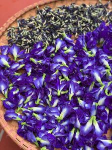 Standard Bulk Dried Butterfly Pea Flowers Natural Blue Petals Organic Herbal <b>Slimming</b> Health <b>Tea</b> Vietnam Vacuum Pack Beverage - Product Image 5