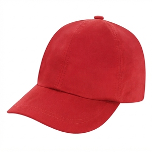 Custom Embroidered Baseball <b>Cap</b> Adjustable Cotton Sports Hat for Men Women Outdoor Casual Promotional Headwear - Product Image 1