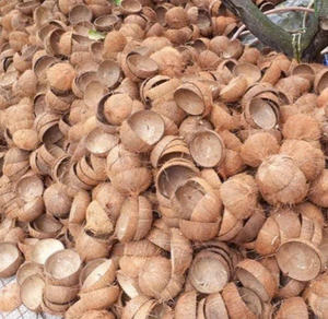 Ensemble de bols en coquille de noix de coco polie de haute qualité, écologiques, fabriqués au Vietnam, style classique, pour cadeaux d'affaires - Product Image 2