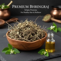 Feuilles de Bhringraj séchées brutes de qualité supérieure (Eclipta Alba) |   Utilisation ayurvédique naturelle |   Approvisionnement en gros |   Vente en gros |   Aspirateur |   Pureté 99% - Produit propre