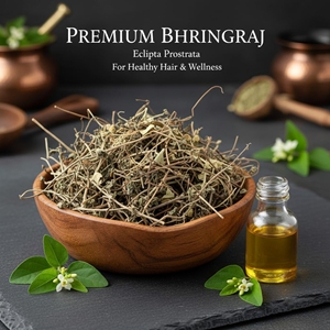 Hojas Secas Premium de Bhringraj (Eclipta Alba) |   Hojas Herbales Naturales para Uso Herbal Ayurvédico |   Suministro al por Mayor |   Venta al por mayor - Product Image 3