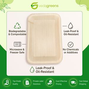 Assiettes rectangulaires jetables en fibre de palmier Areca, qualité éprouvée, best-seller, idéales pour servir les repas, provenant d'un vendeur indien. - Product Image 4